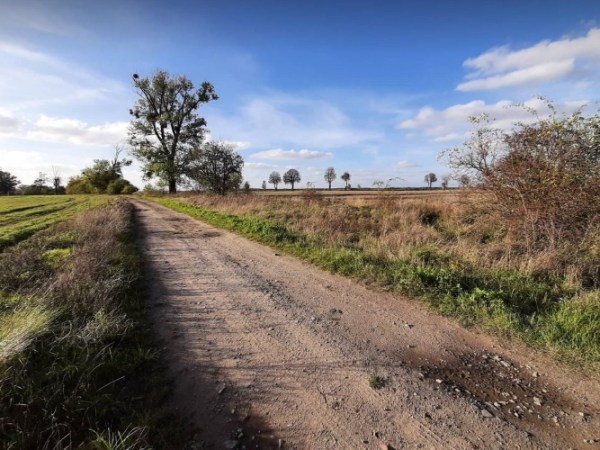 Wiatrak (prawie) w&nbsp;Golęczewie