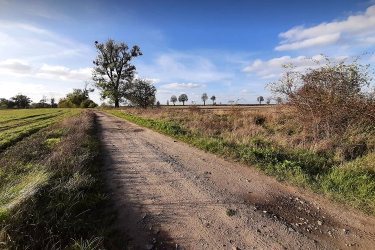 Wiatrak (prawie) w&nbsp;Golęczewie