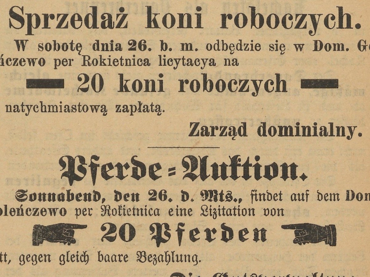 Ogłoszenia drobne z XIX&nbsp;wieku