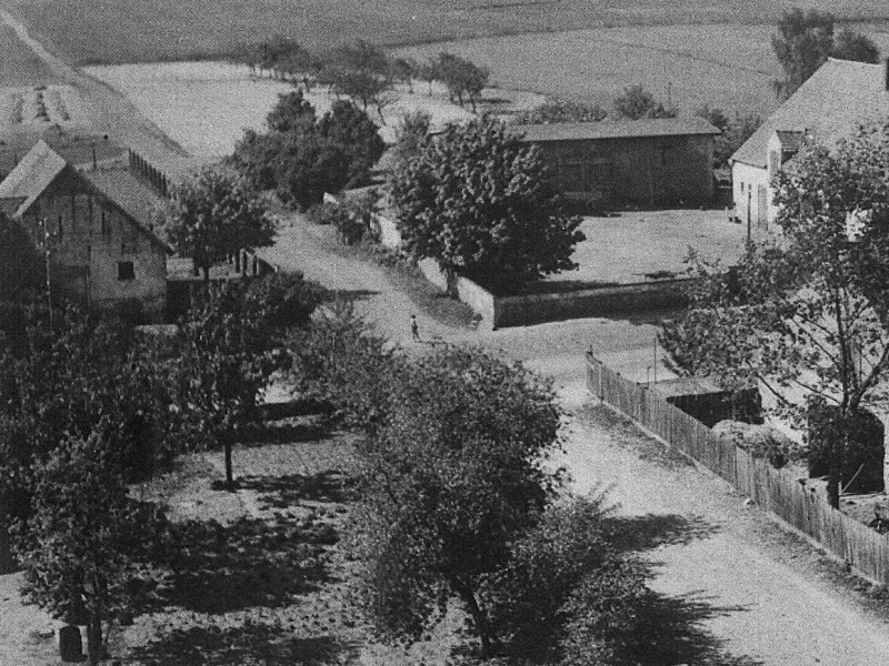 Panoramy Golęczewa z lat&nbsp;50-tych