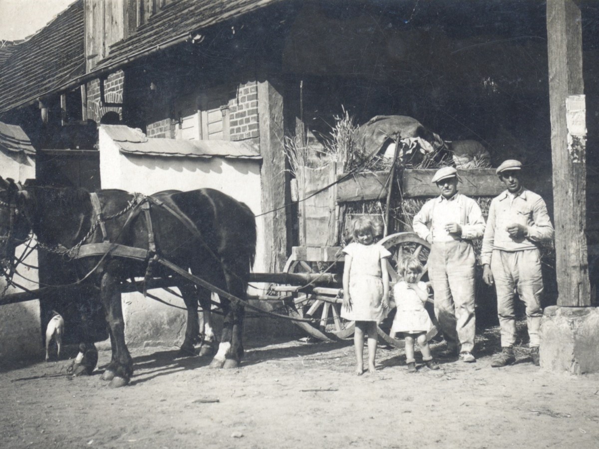 Do śrutownika w&nbsp;gospodzie