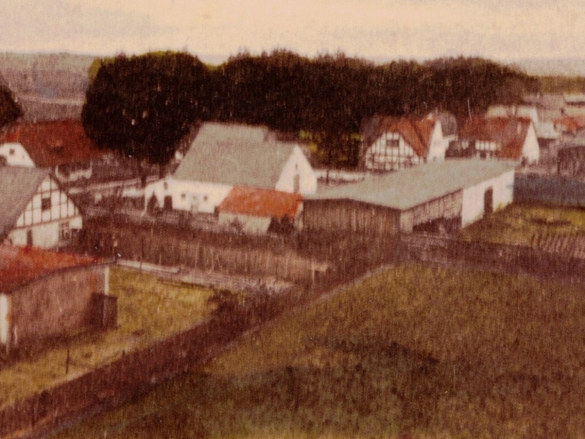 Ok. 1910: widok z wiatraka pompy&nbsp;wodnej