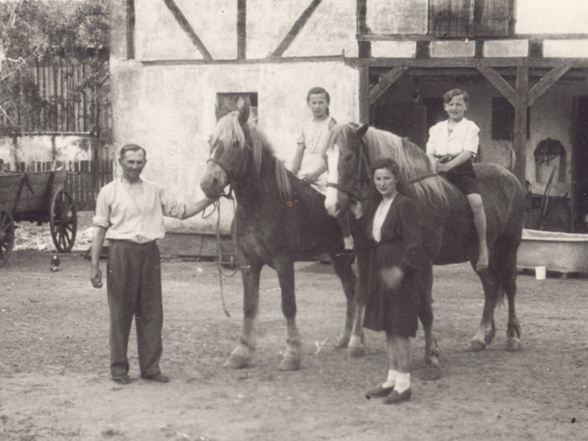 Rodzina Goch: bracia z&nbsp;Lipowej