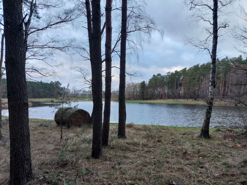 Na spacer do dawnego folwarku&nbsp;Imbierowo