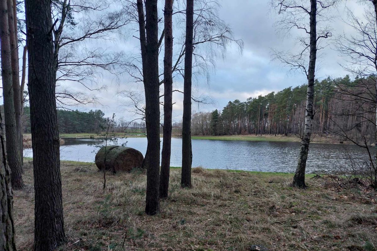 Na spacer do dawnego folwarku&nbsp;Imbierowo