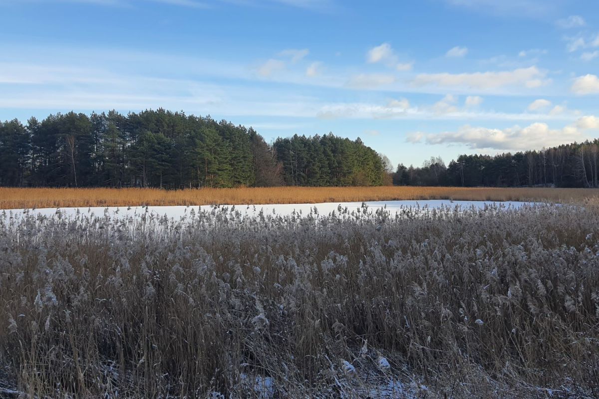 Legenda o topielicy z Jezior Chludowskiego i&nbsp;Golęczewskiego