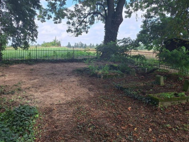 Badania sondażowe „Pomostu” na golęczewskim&nbsp;cmentarzu