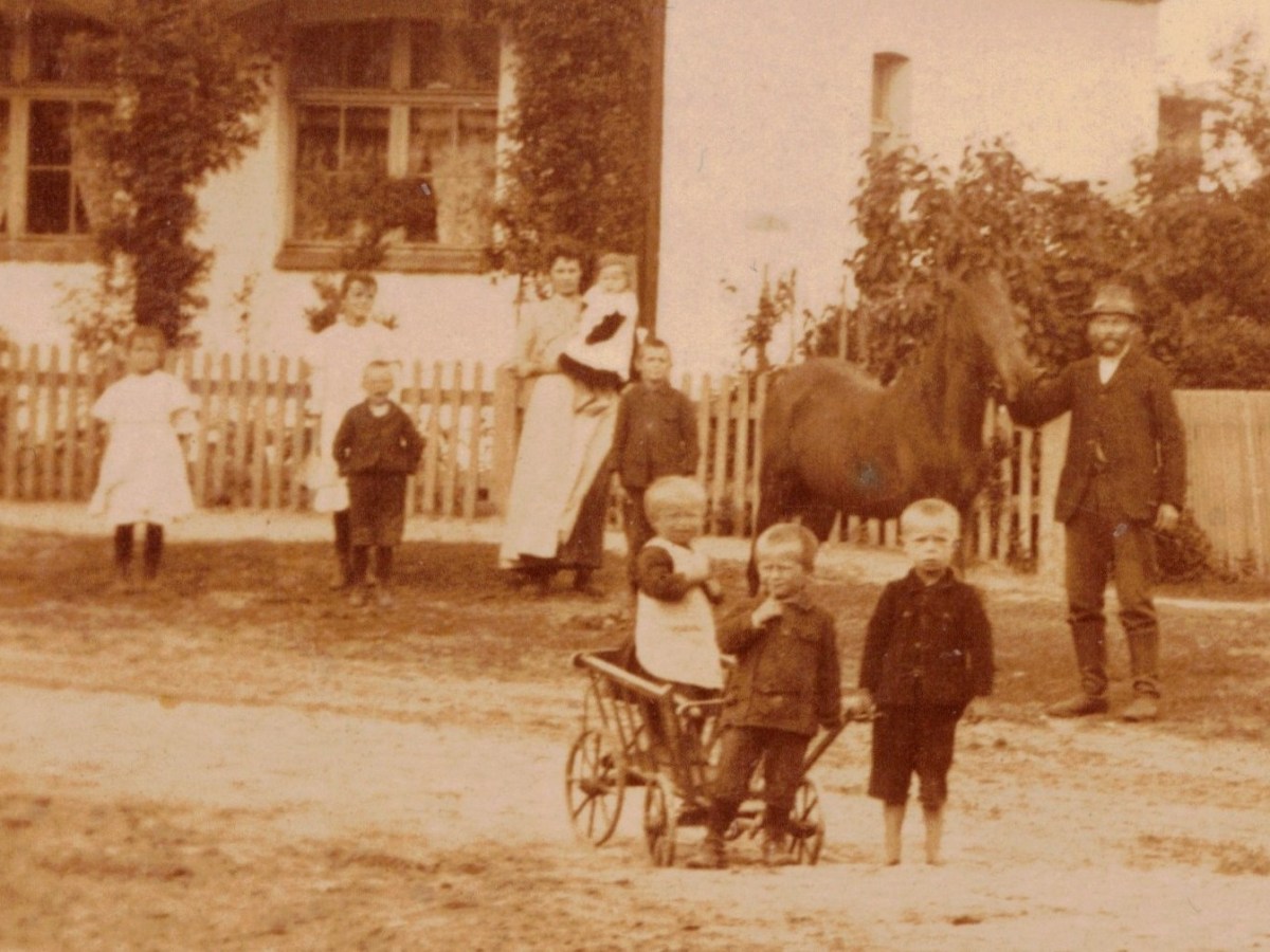 Zdjęcia rodziny John